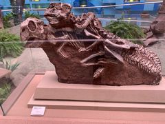 -陕西自然博物馆