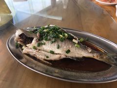 -七鲜渔港美食餐厅(巽寮湾海景店)