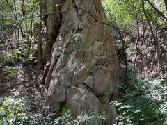 -大岭沟猕猴桃谷风景区