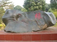 -广西大学(大学东路校区)