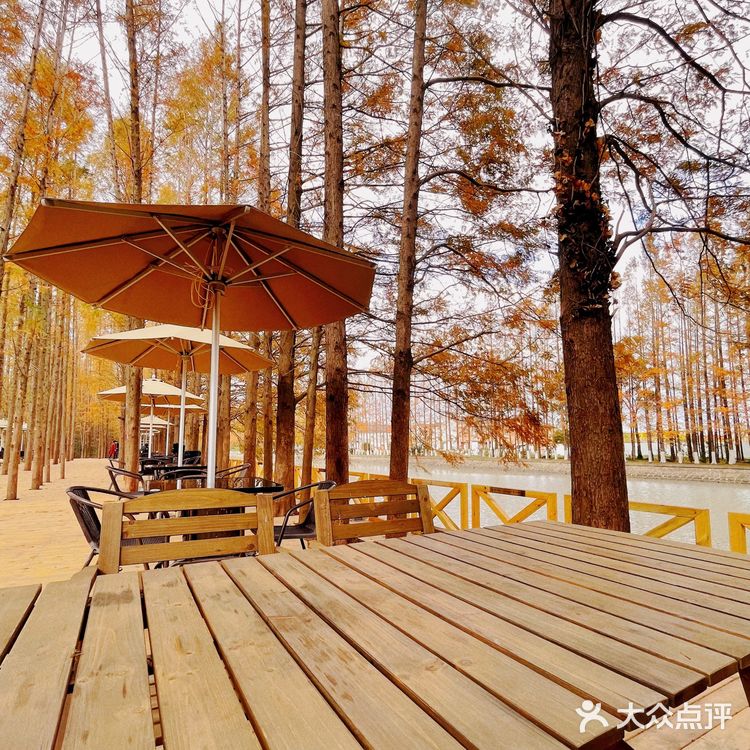 一尺花园1号店，去了一次就爱上了