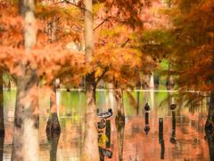 -白鹭湾湿地公园