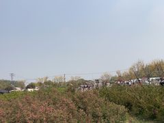 -嘉北郊野公园