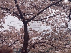 -上海南浦大桥长途旅游客运站