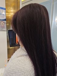 -YESIDO椰岛造型