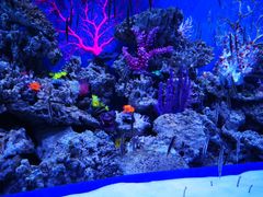 -成都浩海立方海洋公园