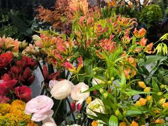 -双季花艺园艺市场(浦东店)