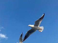 -苏州吴中太湖旅游区