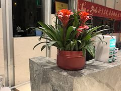 -裕龙汤泉
