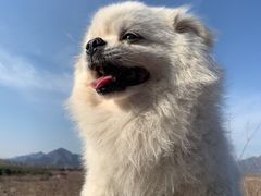 -十三陵水库
