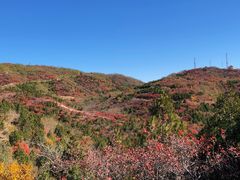 -北京西山国家森林公园