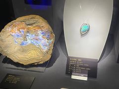 -湖南省地质博物馆