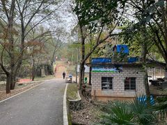 -青龙山国家森林公园