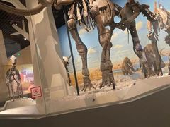 -国家自然博物馆