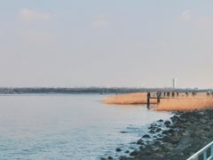 -上海吴淞炮台湾国家湿地公园