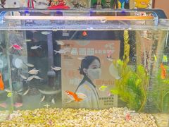 -百荣世贸商城