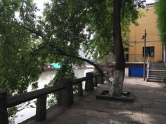 -运河游船(武林门码头)