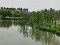-上海长兴岛郊野公园