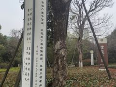 -云龙山