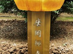 -罔极寺