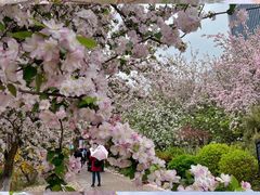 -海棠花溪(元大都城垣遗址公园)