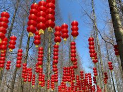 -东平国家森林公园