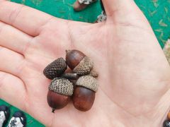 -洛阳白云山景区