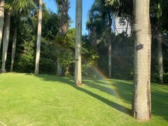 -深圳仙湖植物园