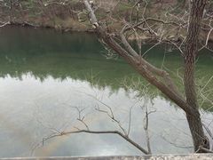-无染寺