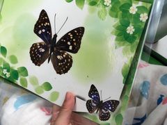 -上海昆虫博物馆