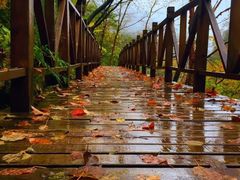 -青峰峡国家森林公园