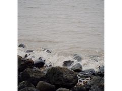 -上海吴淞炮台湾国家湿地公园