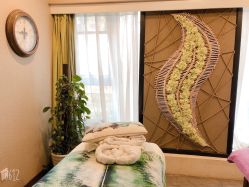 -青青一生美皮肤管理