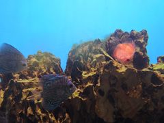 -海合安武汉极地海洋公园