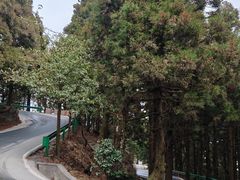 -南岳衡山风景名胜区