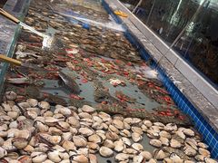 -一方渔歌蒸汽海鲜自助(文化路万达广场店)