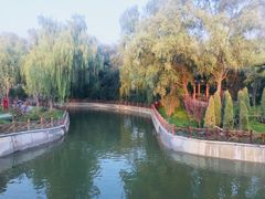 -迎泽公园