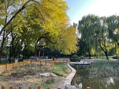 -玲珑塔公园