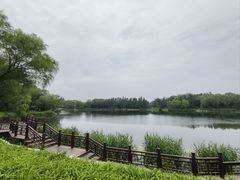 -北坞公园