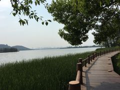-东湖落雁景区