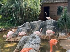 -昆明动物园