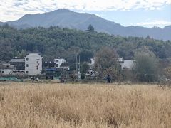 -塔川景区