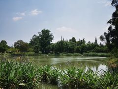 -两河城市森林公园