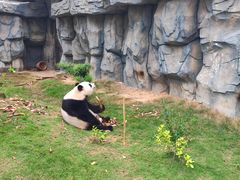 -泉州海丝野生动物世界