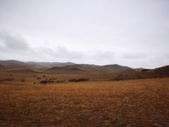 -塞罕坝国家级自然保护区