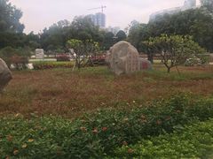 -广西大学(大学东路校区)