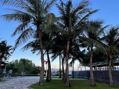 -深圳湾木棉花酒店