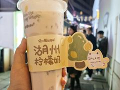 -猫的魔法密林(衣裳街店)