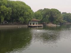 -石家庄市动物园