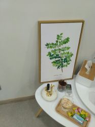 -悦芳庭美肤美体品牌集合店